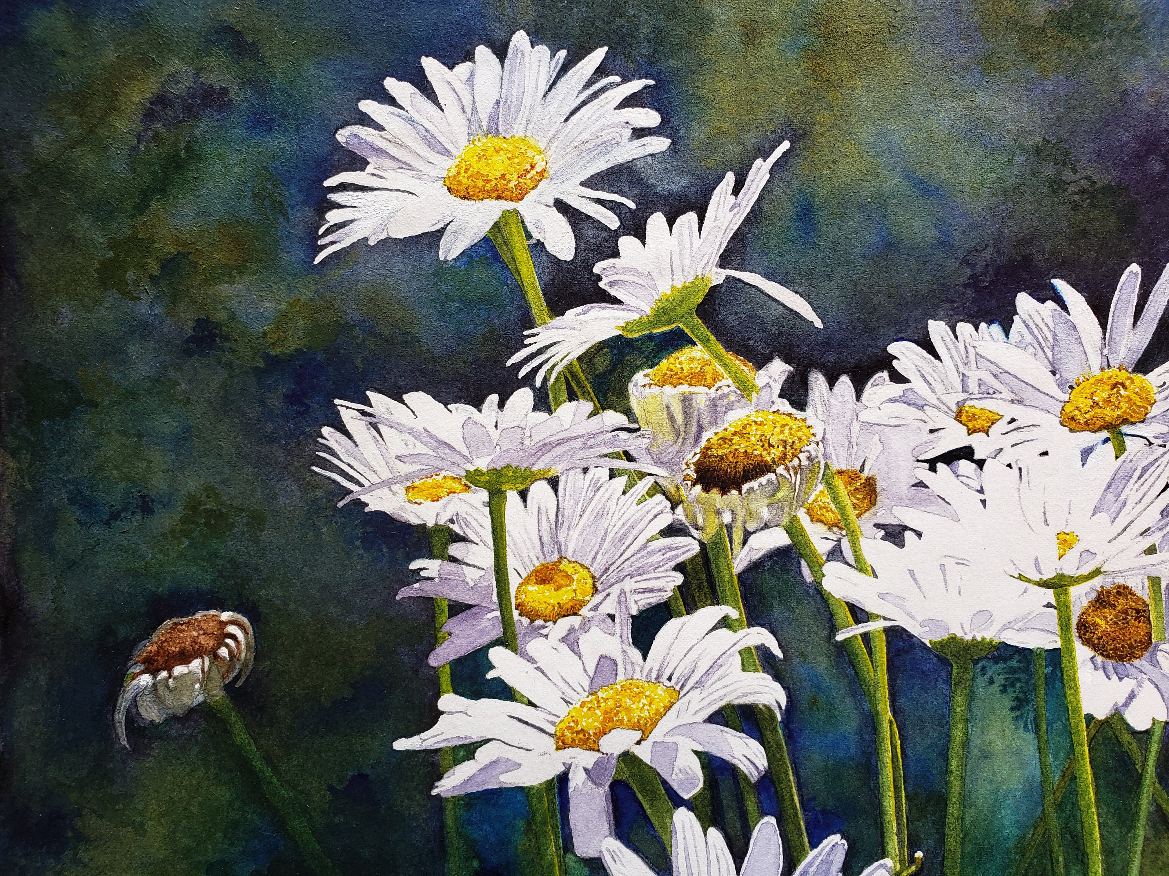 Karen's artwork, November 2019