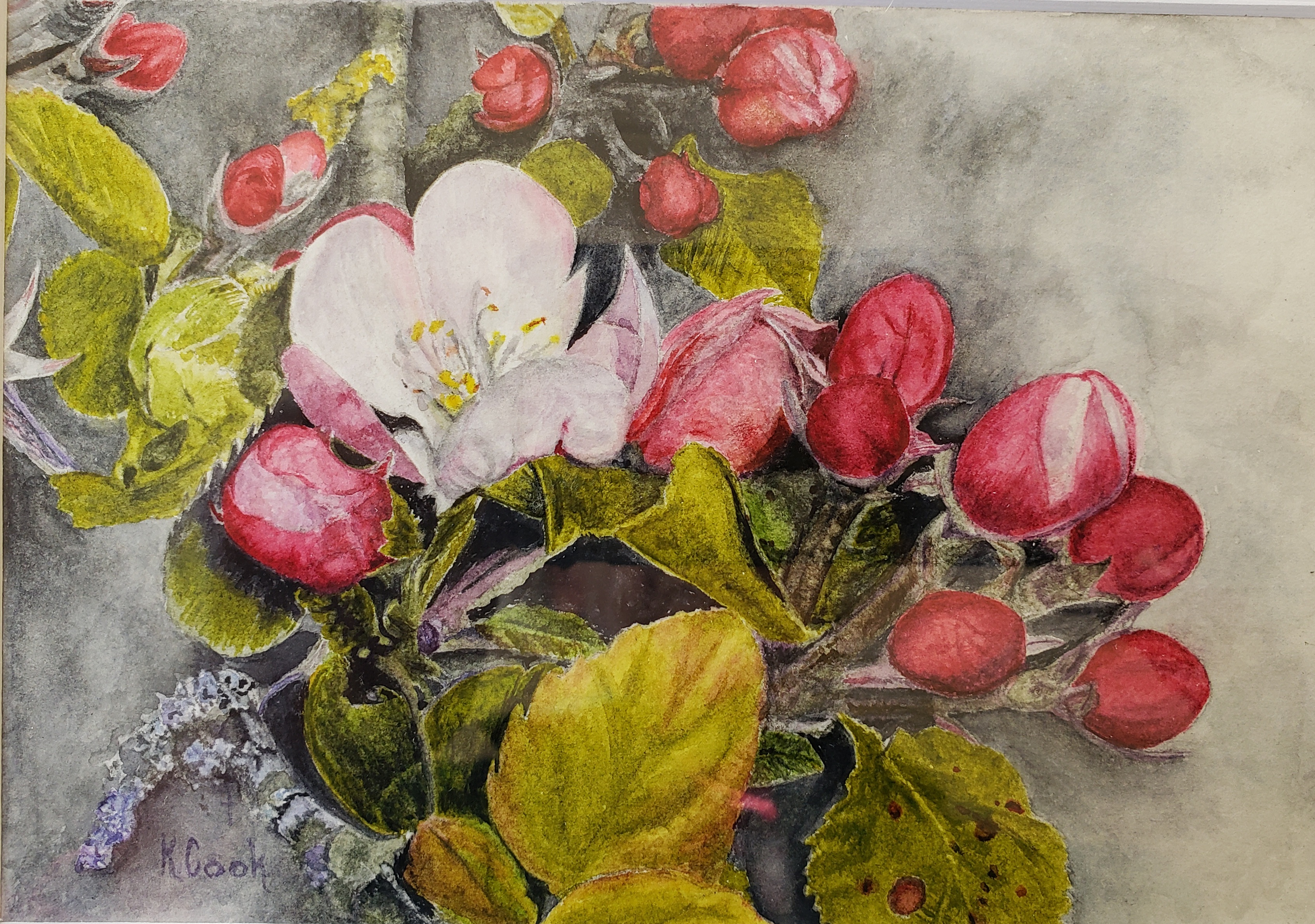 Apple blossom painting by Karen