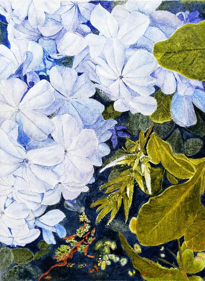 Hydrangea painting by Karen