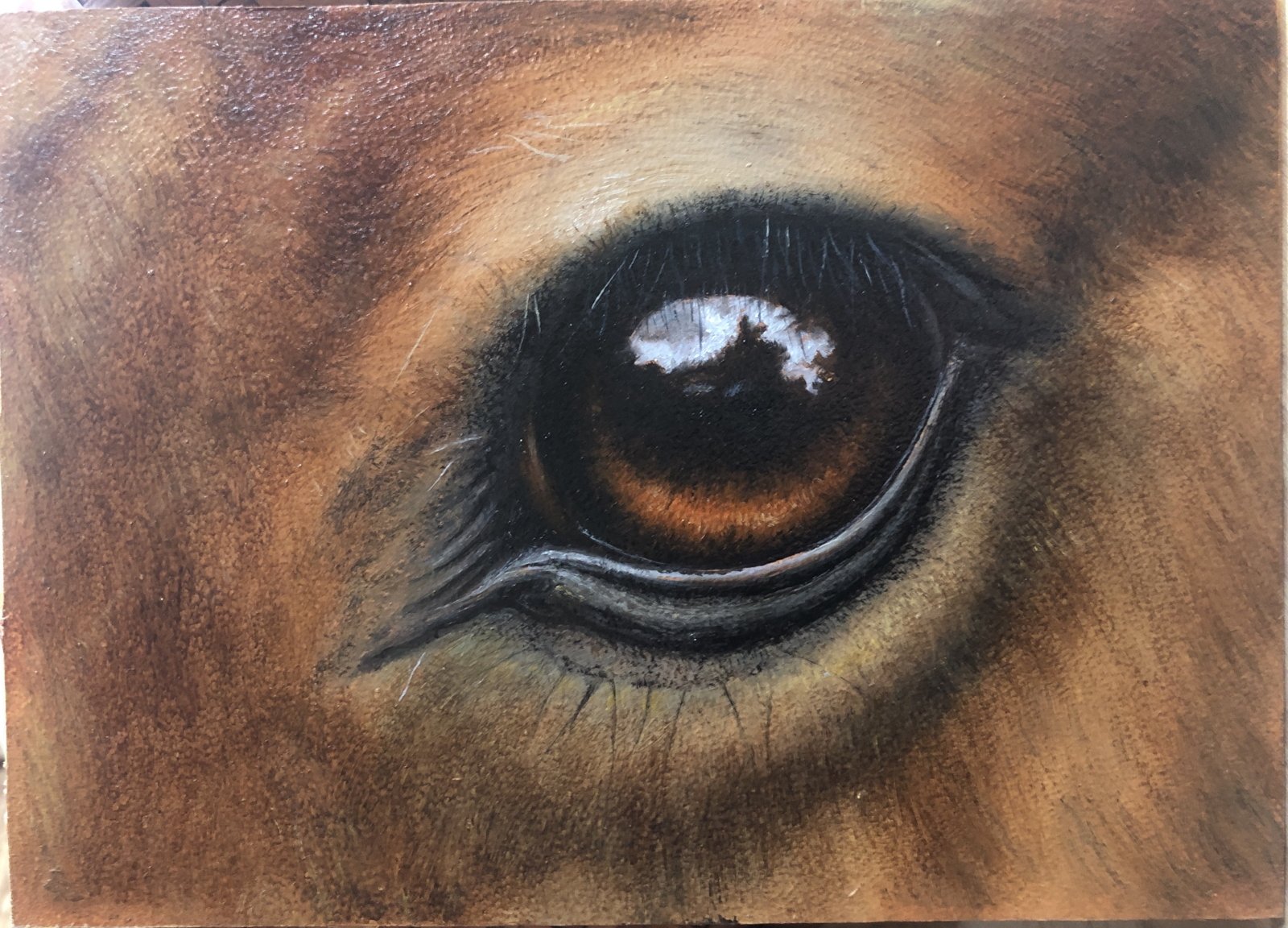 A Window to His Soul