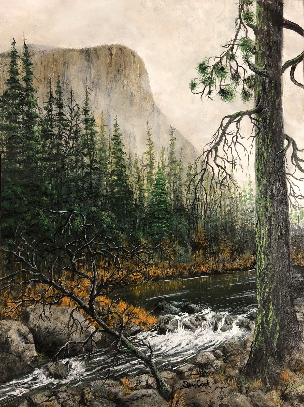 El Cap over the Merced River