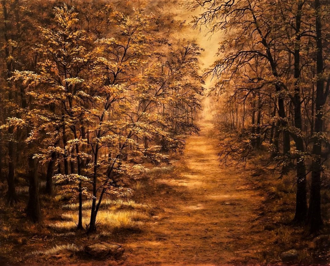 Forest Path