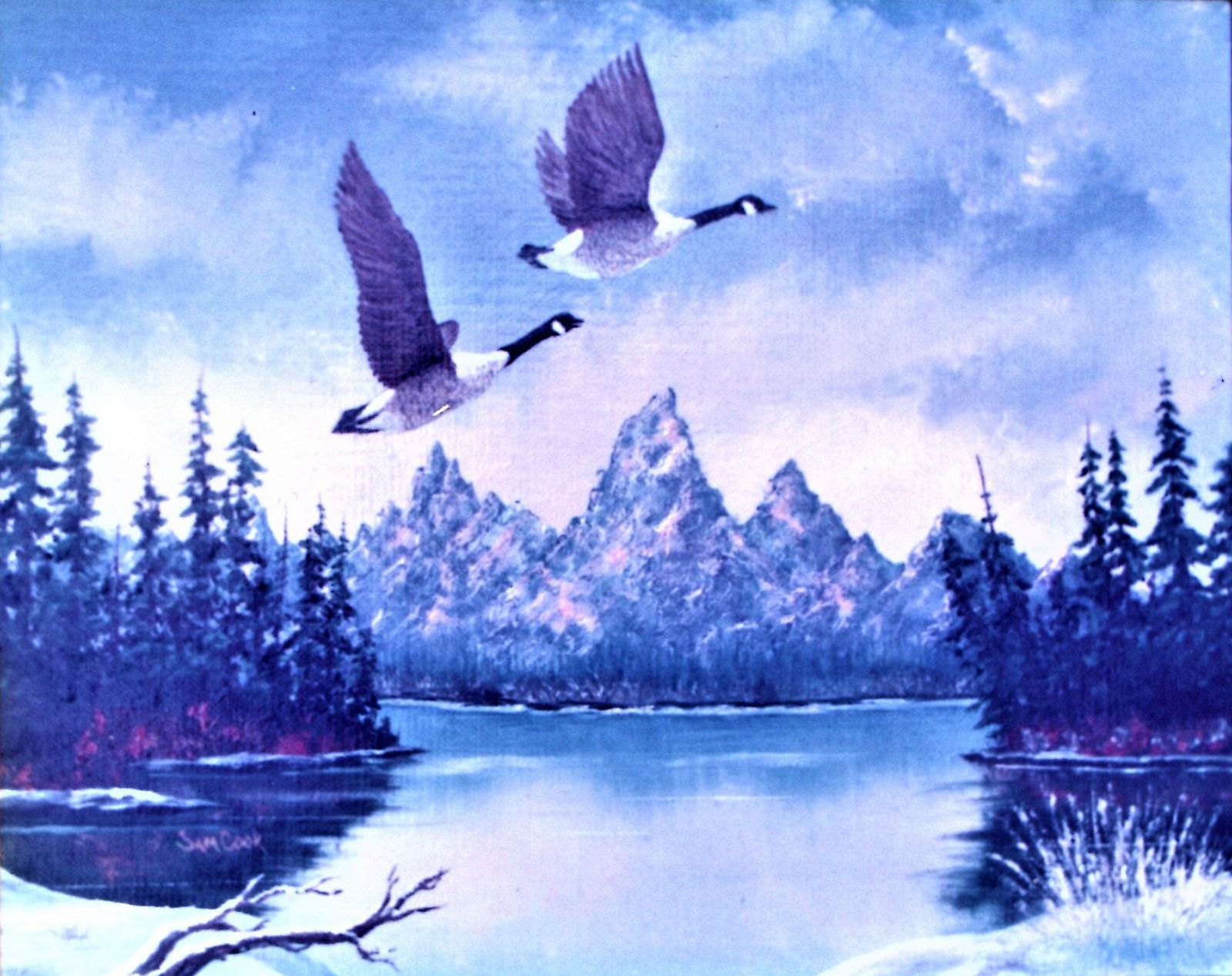 Geese over the Tetons