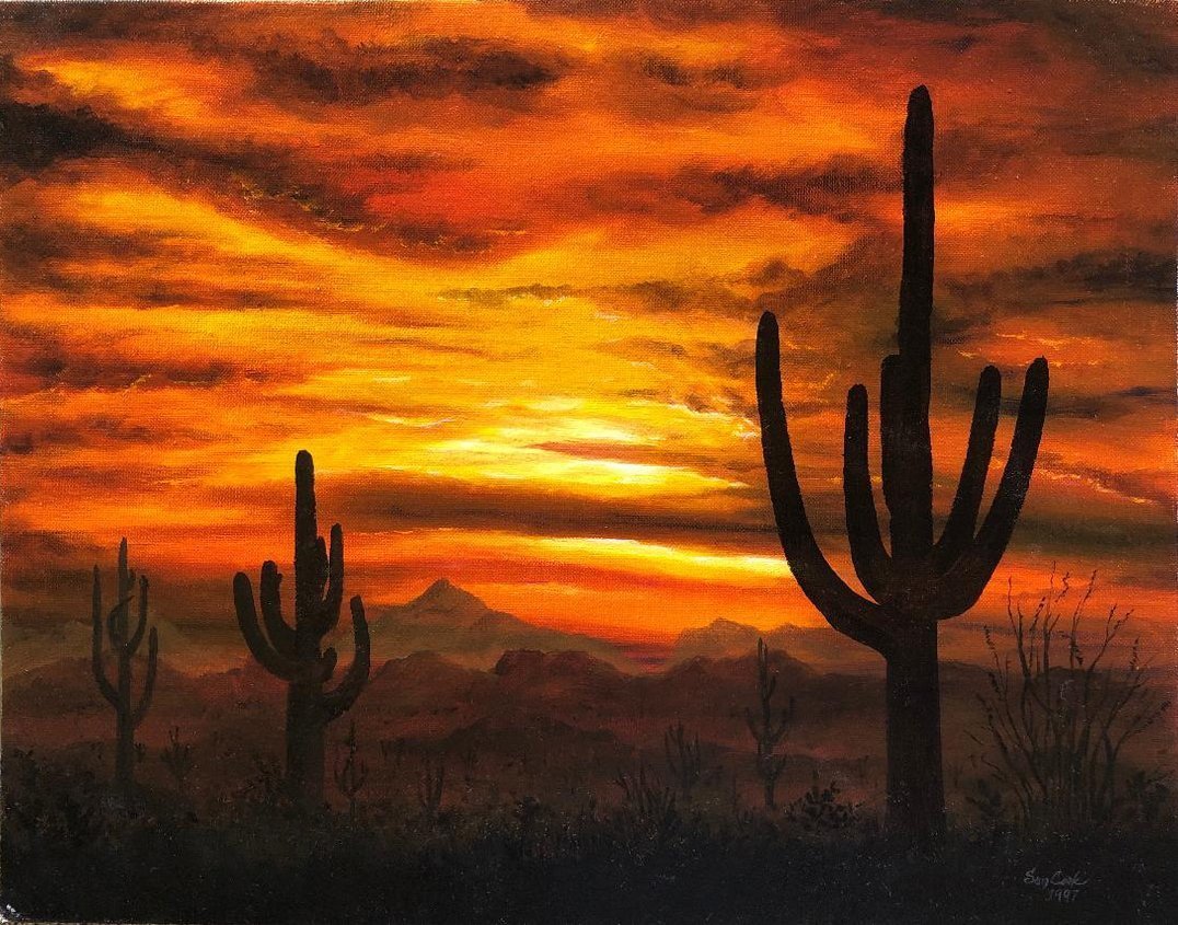 Sonoran Sunset