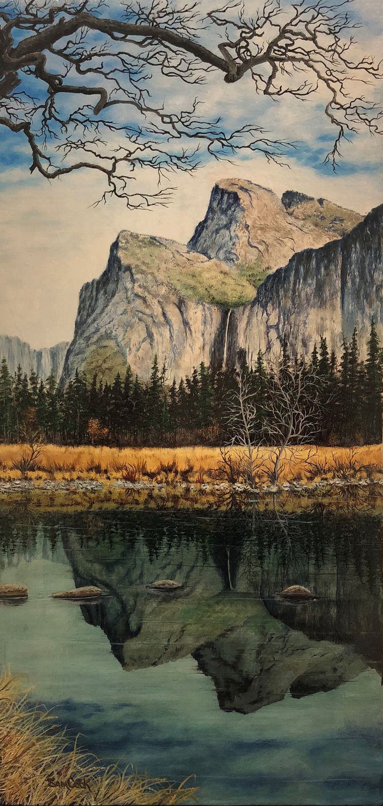 Yosemite Reflections