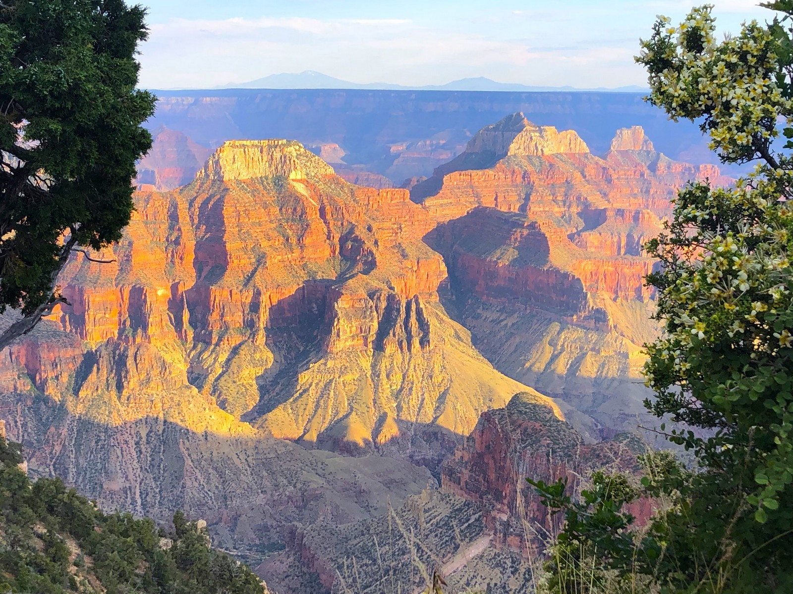 Another Grand Canyon Favorite