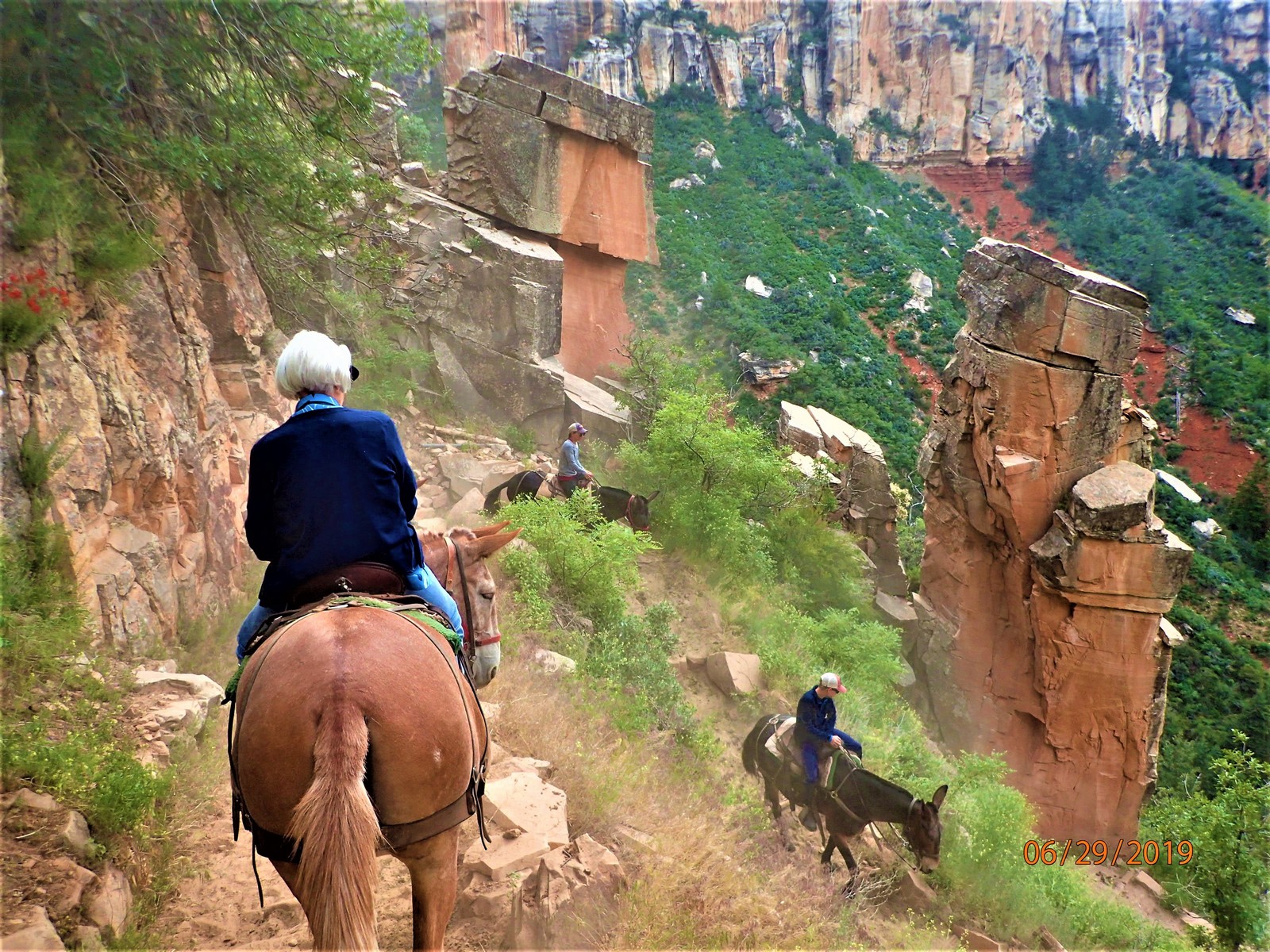 Karen on Rufus - Fearless Decent Into the Grand Canyon