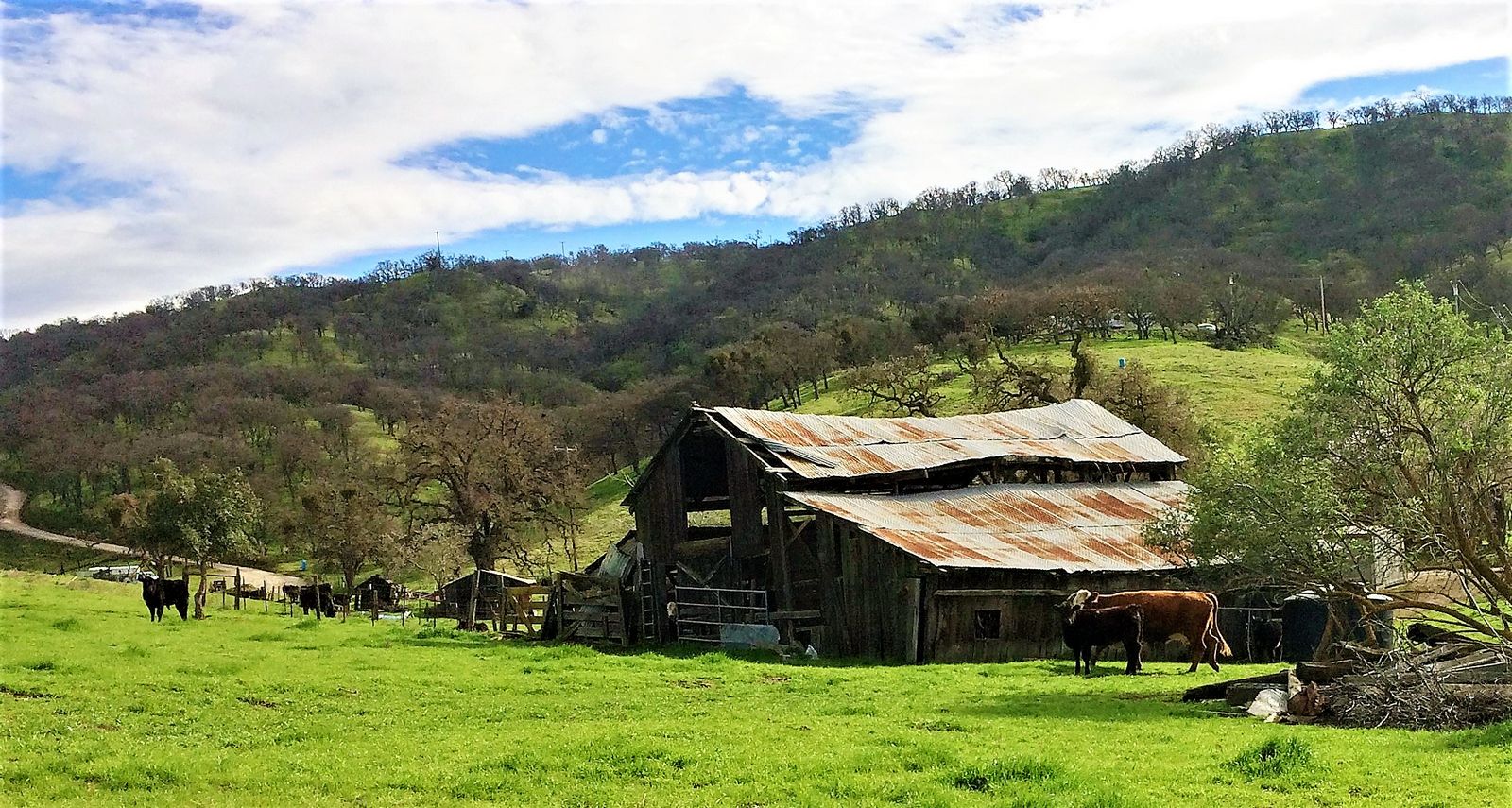 Old barn just outside Livermore, California