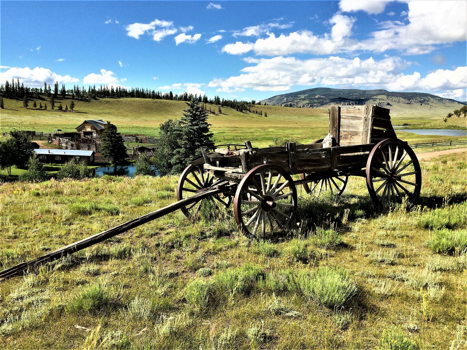 Wagon on the Quarter Circle Circle ranch