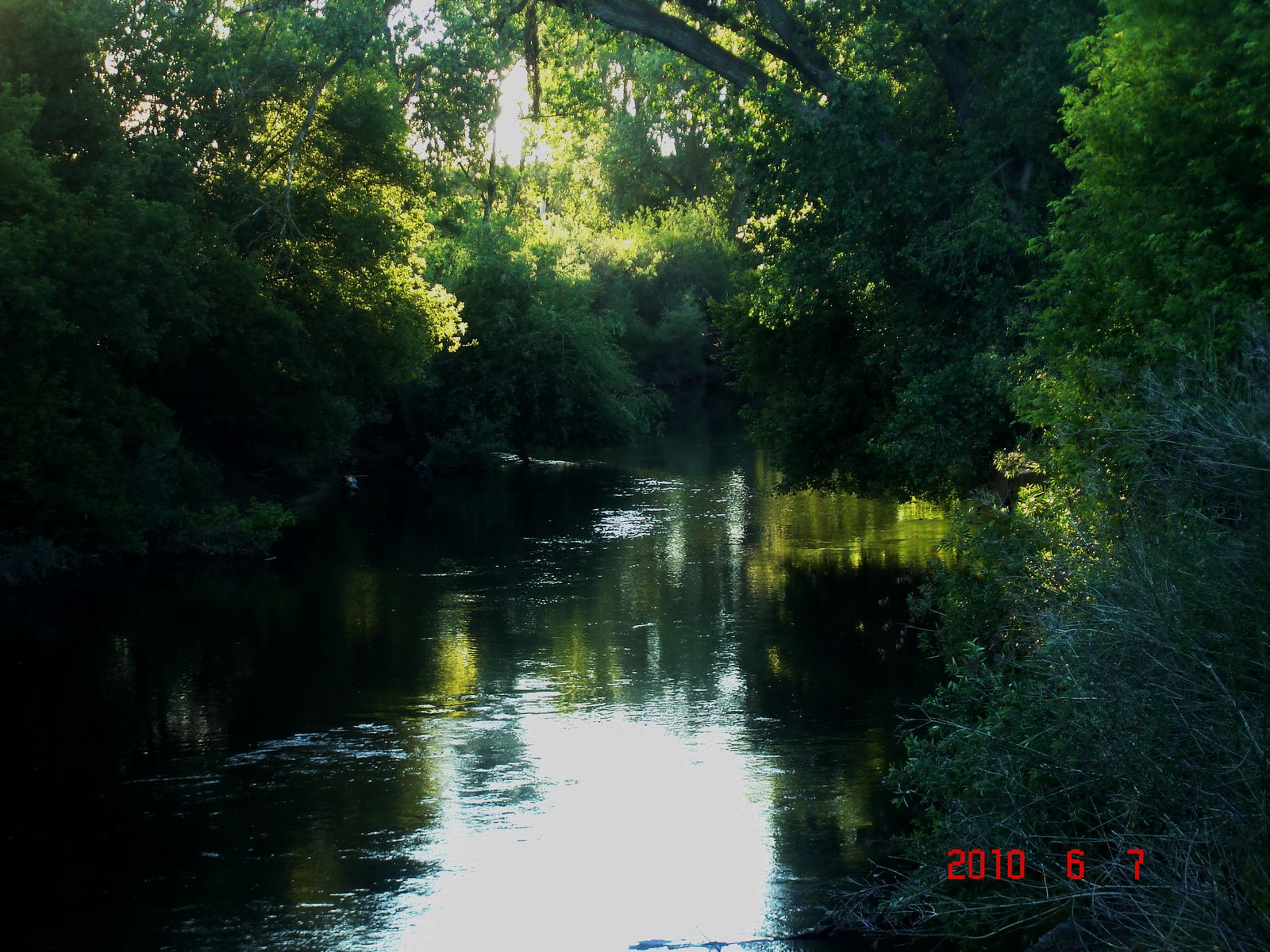 Stanislaus River at Del Rio