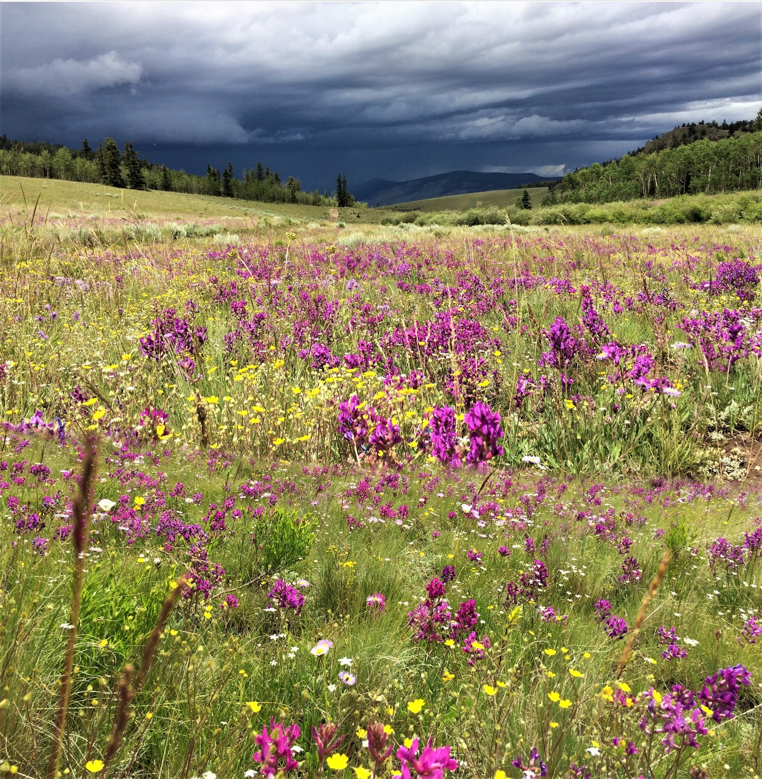 A Storm's aBrewing on the Quarter Circle Circle