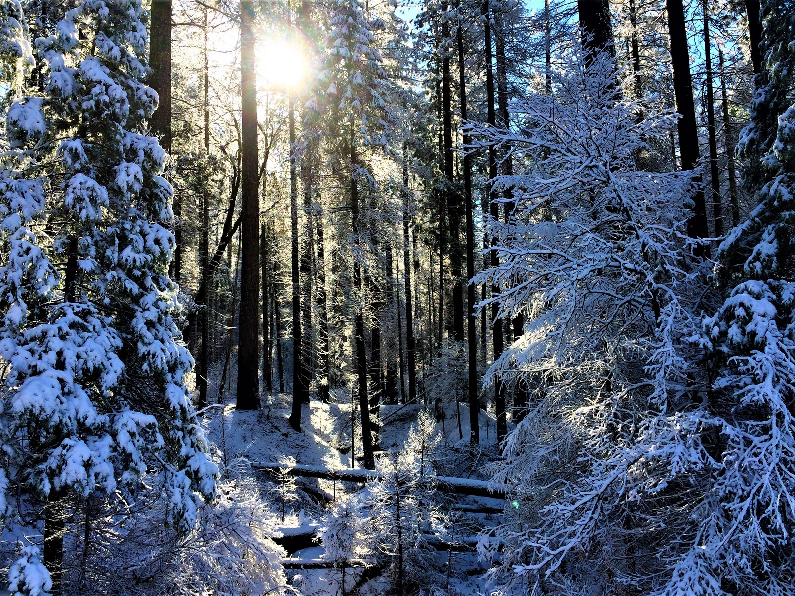Sundown Snow Off Hwy 120 Near Yosemite