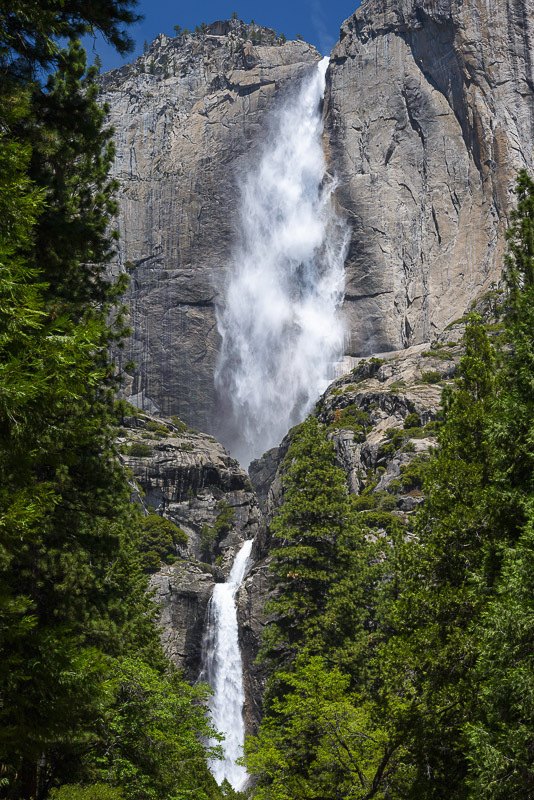 Yosemite Falls in the Spring - From Cooks Meadow