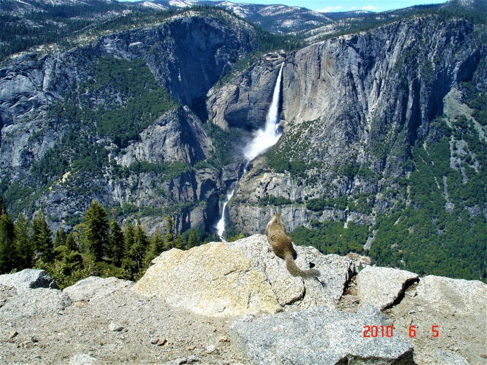 Yosemite Falls with a chipmunk