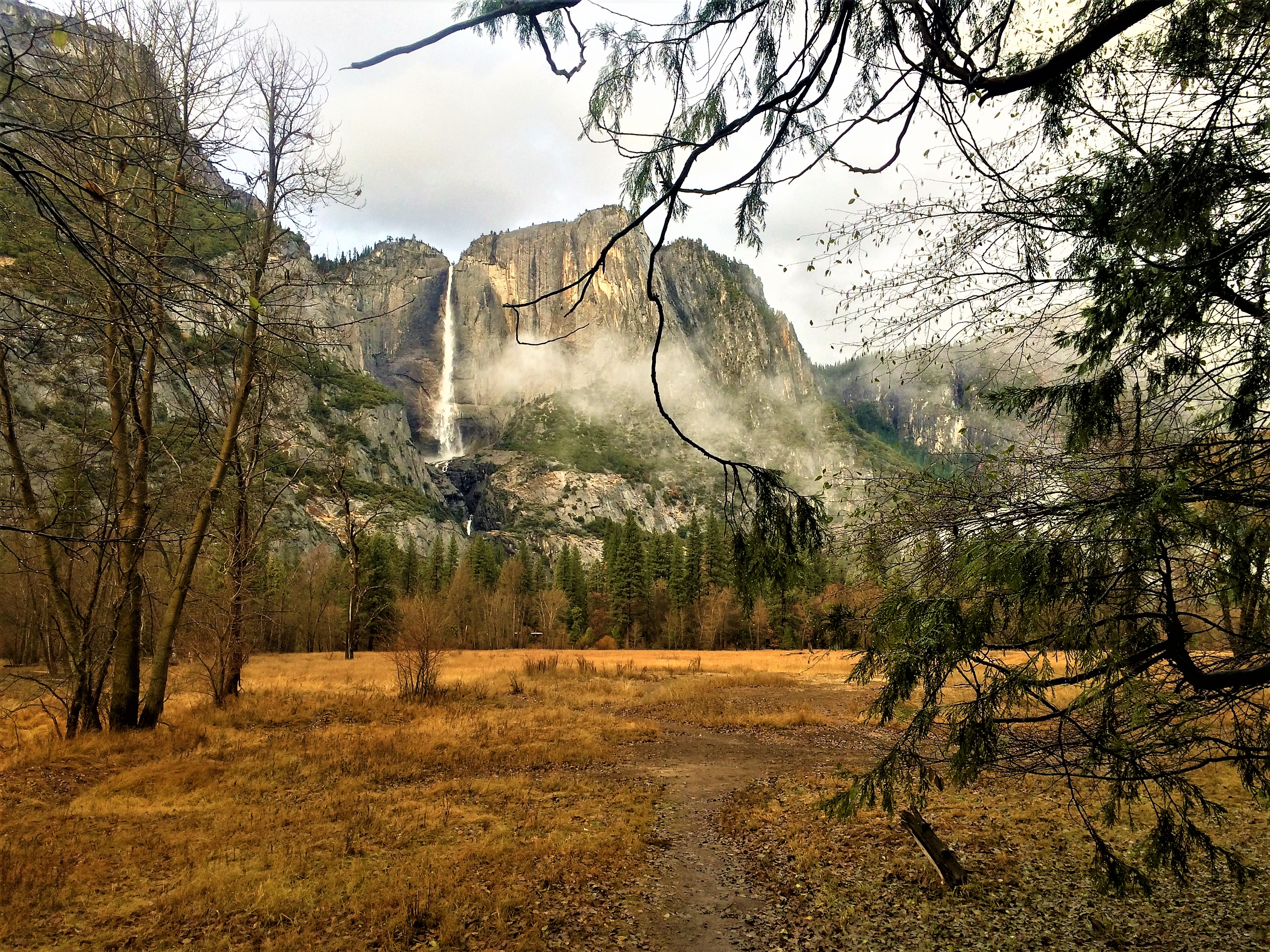 Yosemite Falls viewed from a distance